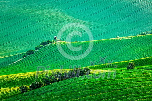 Moravian rolling landscape with hunting tower shack on sunset. Moravia, Czech Republic