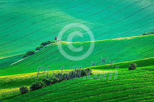Moravian rolling landscape with hunting tower shack on sunset. Moravia, Czech Republic Moravian rolling landscape with hunting tower shack on sunset. Moravia, Czech Republic