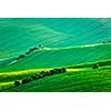 Moravian rolling landscape with hunting tower shack on sunset. Moravia, Czech Republic