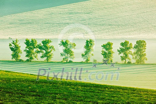Vintage retro effect filtered hipster style image of Moravian rolling landscape with trees in early morning haze. Moravia, Czech Republic