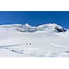 Group of people walking among snows of New Zealand mountains