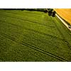 Farmland from above - aerial image of a lush green filed