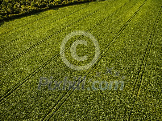 Farmland from above - aerial image of a lush green filed Farmland from above - aerial image of a lush green filed