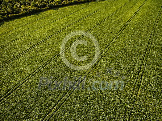 Farmland from above - aerial image of a lush green filed