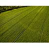 Farmland from above - aerial image of a lush green filed