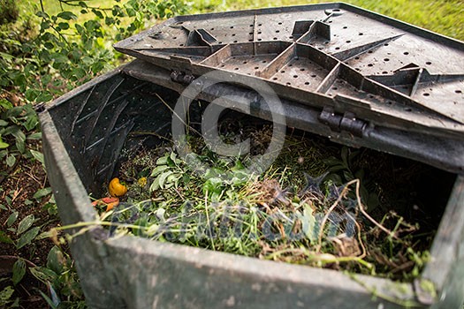Plastic composter in a garden - filled with decaying organic material to be used as a fertilizer for growing home-grown, organic vegetables (shallow DOF)