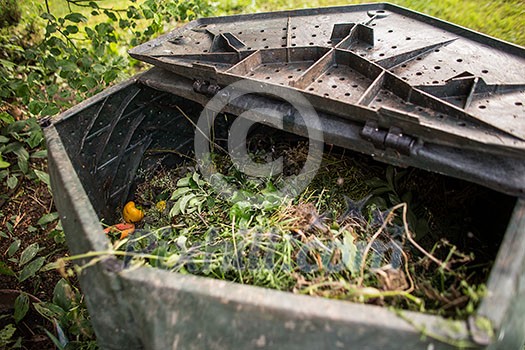 Plastic composter in a garden - filled with decaying organic material to be used as a fertilizer for growing home-grown, organic vegetables (shallow DOF) Plastic composter in a garden - filled with decaying organic material to be used as a fertilizer for growing home-grown, organic vegetables (shallow DOF)