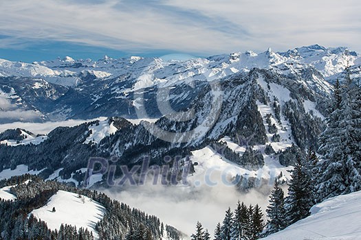 Splendid winter alpine scenery with high mountains and trees covered with snow, clouds hanging low in the valley