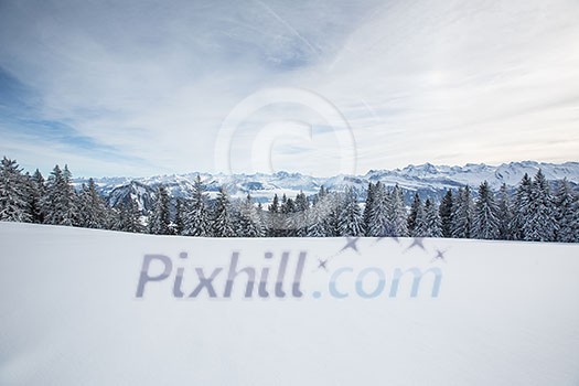 Splendid winter alpine scenery with high mountains and trees covered with snow