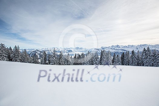 Splendid winter alpine scenery with high mountains and trees covered with snow Splendid winter alpine scenery with high mountains and trees covered with snow