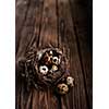 Quail eggs in the nest on a wooden board