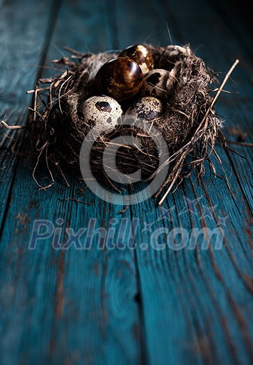 Quail eggs in the nest on a wooden board Quail eggs in the nest on a wooden board