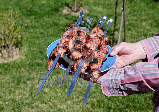 Grilled kebabs on a plate. Picnic on the weekend.