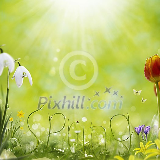 Spring letters made from grass blades in floral fantasy surroundings with space for text.