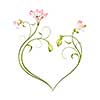 Pink flowers, buds, petals and stem isolated on white background in heart shape
