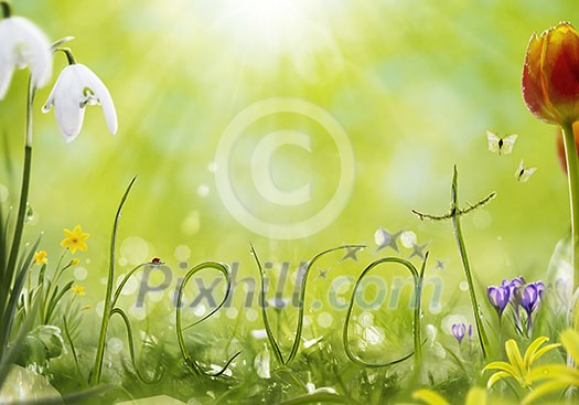 Letters made from grass blades in fantasy floral surroundings with space for text