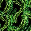 Tropical palm leaf pattern green colored eps 10