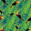Tropical monstera leaves with toucans seamless pattern.