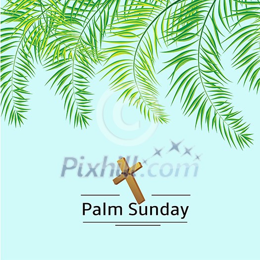 Palm leafs vector background with place for text.