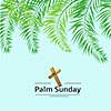 Palm leafs vector background with place for text.