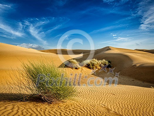 Sam Sand dunes in Thar Desert. Rajasthan, India