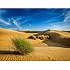 Sam Sand dunes in Thar Desert. Rajasthan, India