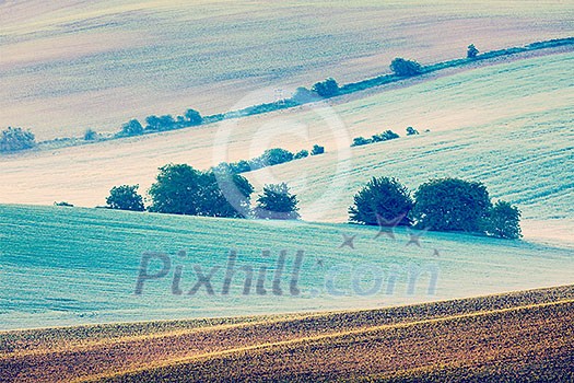 Vintage retro effect filtered hipster style image of Moravian rolling fields landscape in morning mist. Moravia, Czech Republic