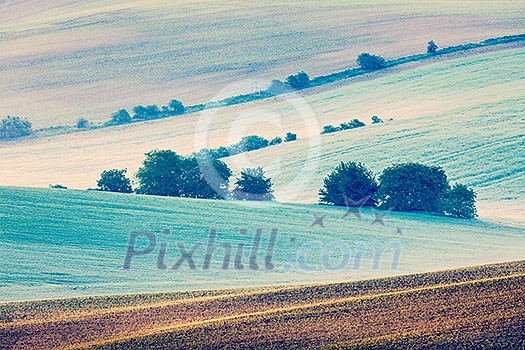 Vintage retro effect filtered hipster style image of Moravian rolling fields landscape in morning mist. Moravia, Czech Republic Vintage retro effect filtered hipster style image of Moravian rolling fields landscape in morning mist. Moravia, Czech Republic