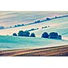 Vintage retro effect filtered hipster style image of Moravian rolling fields landscape in morning mist. Moravia, Czech Republic