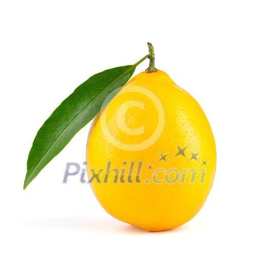 Yellow lemon with leaf isolated on white background Yellow lemon with leaf isolated on white background