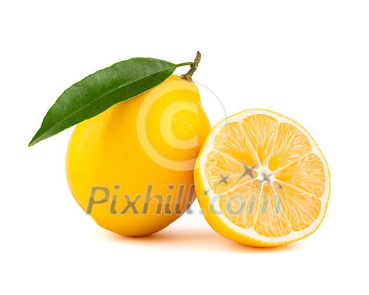 Yellow lemon with slice isolated on white background Yellow lemon with slice isolated on white background