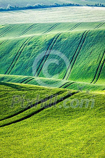 Rolling landscape of green fields in South Moravia, Czech Republic Rolling landscape of green fields in South Moravia, Czech Republic