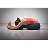 Sporty fit woman practices Ashtanga Vinyasa yoga back bending asana Paschimottanasana - seated forward bend