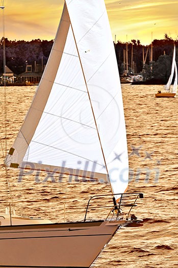 Sailboat with white sail sailing at sunset