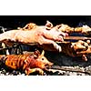 Spit roasted pigs cooked over hot coals