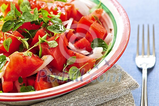 Summer tomato salad with onions and herbs