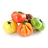 Multi colored heirloom tomatoes isolated on white background