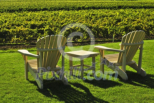 Muskoka chairs and table near vineyard at winery Muskoka chairs and table near vineyard at winery