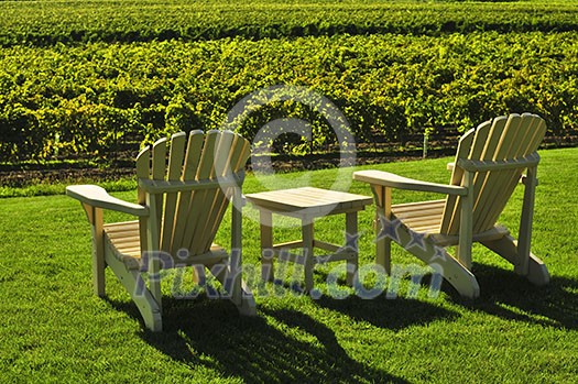 Muskoka chairs and table near vineyard at winery