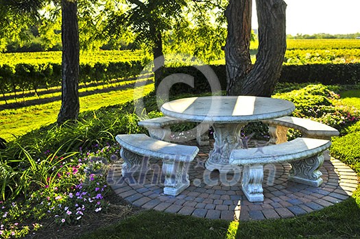 Benches and table near vineyard at winery Benches and table near vineyard at winery