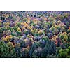 Fall forest trees viewed from Lookout trail in Algonquin Provincial Park, Canada.