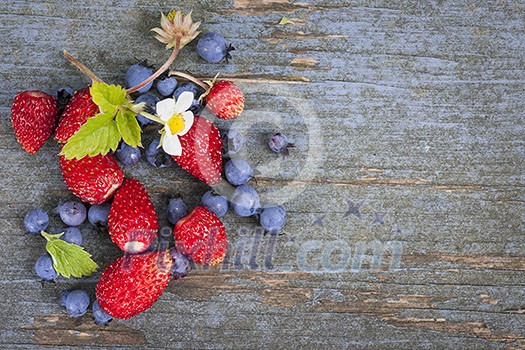 Fresh small wild strawberries and blueberries with copy space on old blue wooden background