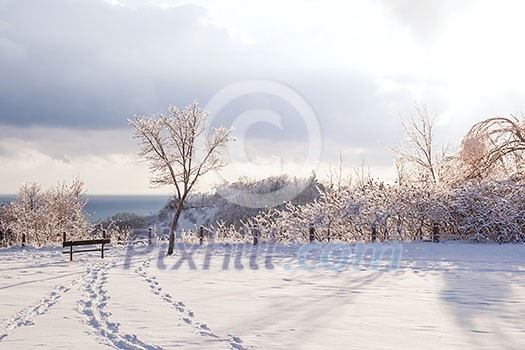 Beautiful winter landscape of park overlooking Scarborough Bluffs in Ontario, Canada