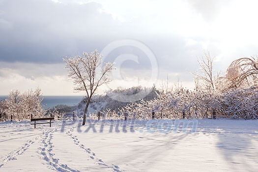 Beautiful winter landscape of park overlooking Scarborough Bluffs in Ontario, Canada Beautiful winter landscape of park overlooking Scarborough Bluffs in Ontario, Canada