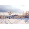 Beautiful winter landscape of park overlooking Scarborough Bluffs in Ontario, Canada