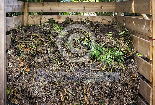 Organic yard waste in wooden compost box for backyard garden composting Organic yard waste in wooden compost box for backyard garden composting