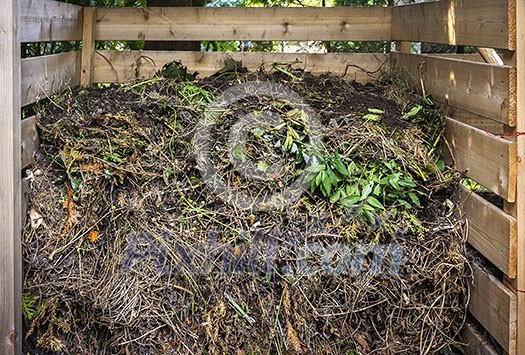 Organic yard waste in wooden compost box for backyard garden composting