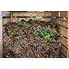 Organic yard waste in wooden compost box for backyard garden composting