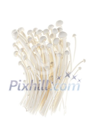 Enoki mushrooms bunch isolated on white background Enoki mushrooms bunch isolated on white background