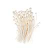 Enoki mushrooms bunch isolated on white background